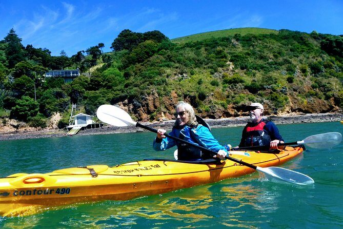 Small group guided sea kayaking in Akaroa marine reserve - Who is This Tour Best For?
