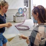 Small Group Hunter Valley Wine Tour w Lunch, Gin, Cheese & Choc - What We Love About This Tour