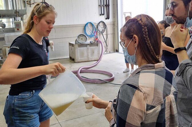 Small Group Hunter Valley Wine Tour w Lunch, Gin, Cheese & Choc - What We Love About This Tour