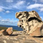 Small Group Kangaroo Island Tour - Best of KI in 2 Days - The Itinerary: A Day-by-Day Breakdown