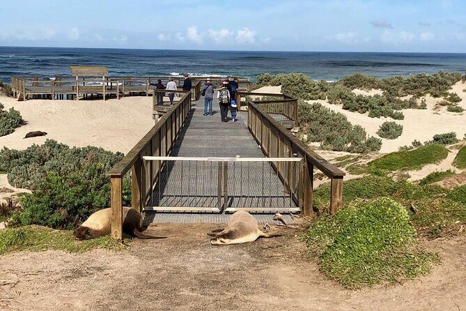 Small Group Kangaroo Island Tour - Best of KI - How the Experience Comes Together