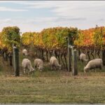 Small group - Napier, Wine, Beer & Cider Tour - 5.0 - 5.5 hours - Who Will Love This Tour?