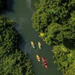Small Group River Kayaking Tour from Port Vila - Authentic Experiences and Notable Highlights from Reviews