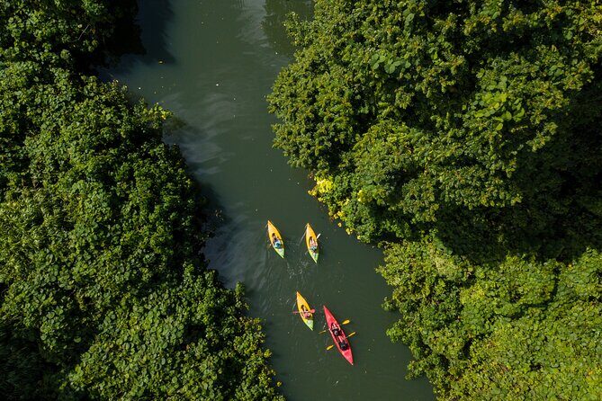 Small Group River Kayaking Tour from Port Vila - Authentic Experiences and Notable Highlights from Reviews