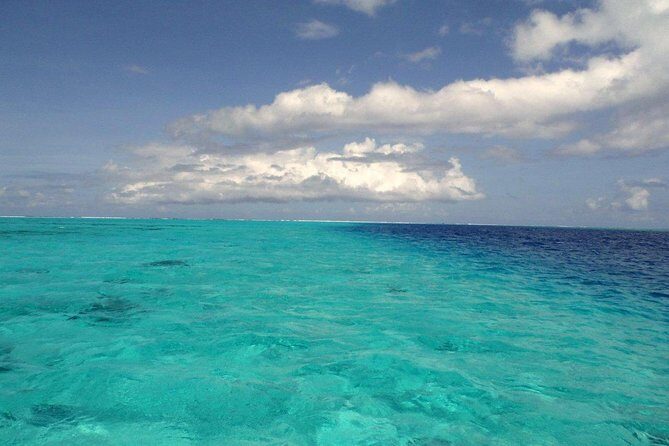 Small group snorkeling (5 people max): wrecks & tropical fishes at 1:00pm - Overview of the Snorkeling Experience