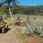 Small Quad Tour 2h30 Quad excursion in Moorea (single or two-seater) - FAQs