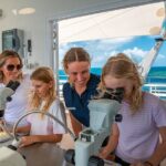 Snorkel & Dive the Reef: Sustainable, Scientific & Cultural Tour - Practical Tips for Future Travelers