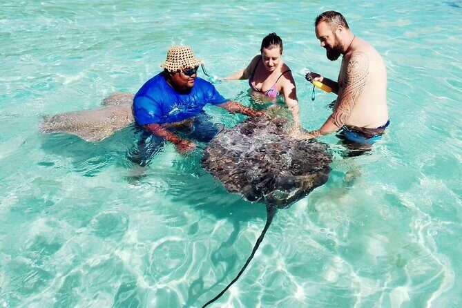 Snorkeling excursion and encounter with marine fauna in Moorea - Who Should Book This Tour?