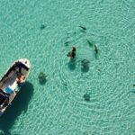 Snorkeling excursion, discovery of the lagoon, small group. - Who Should Book This Tour?