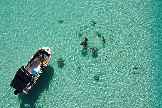 Snorkeling excursion, discovery of the lagoon, small group. - Who Should Book This Tour?