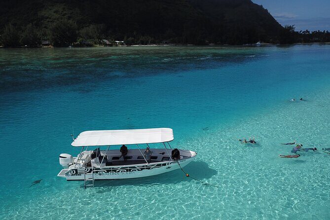 Snorkeling Lagoon Cruise and Whale Watching in Moorea - Who Should Consider This Tour?