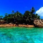 Snorkeling St-Pierre Marine Park and Anse Petite Cour - What to Expect at St-Pierre Marine Park