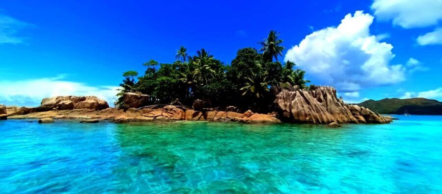 Snorkeling St-Pierre Marine Park and Anse Petite Cour - What to Expect at St-Pierre Marine Park
