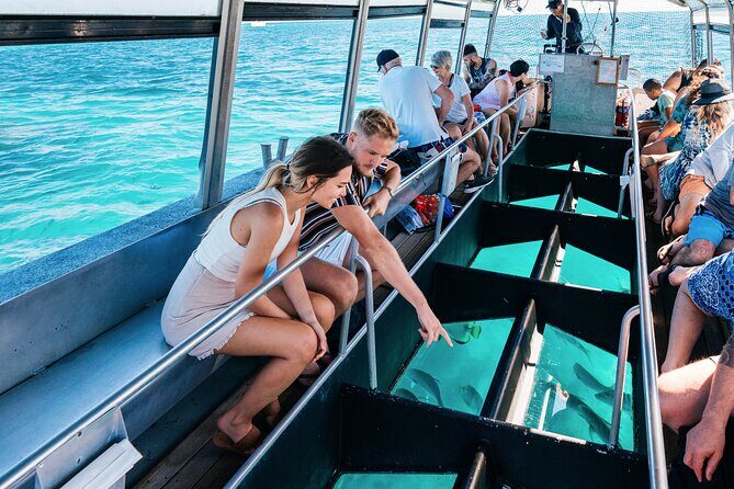 Snorkelling and Glass Bottom Boat at Green Island from Cairns - Is It Worth the Price?