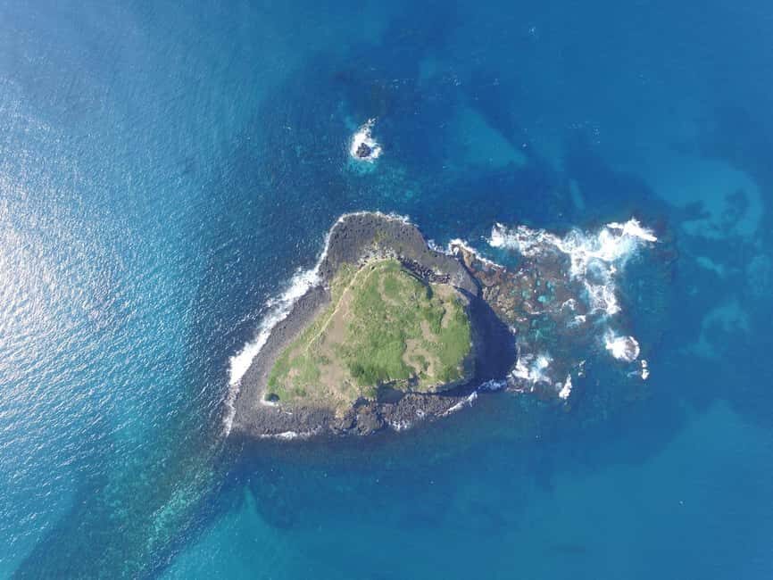 Snorkelling with Turtles at Cook Island Marine Rserve - The Itinerary: What to Expect During Your Day