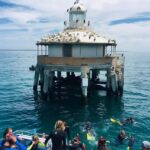 Sorrento: Boat Tour & Snorkeling with the Seals with Lunch - Who Will Love This Tour?