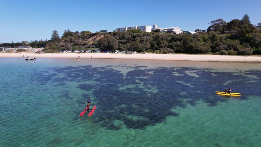 Sorrento, Mornington Peninsula Waterbike Tour - Why This Tour Is Worth Considering