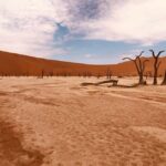 Sossusvlei: Day Trip - Dune 45 — The Classic Photo Op