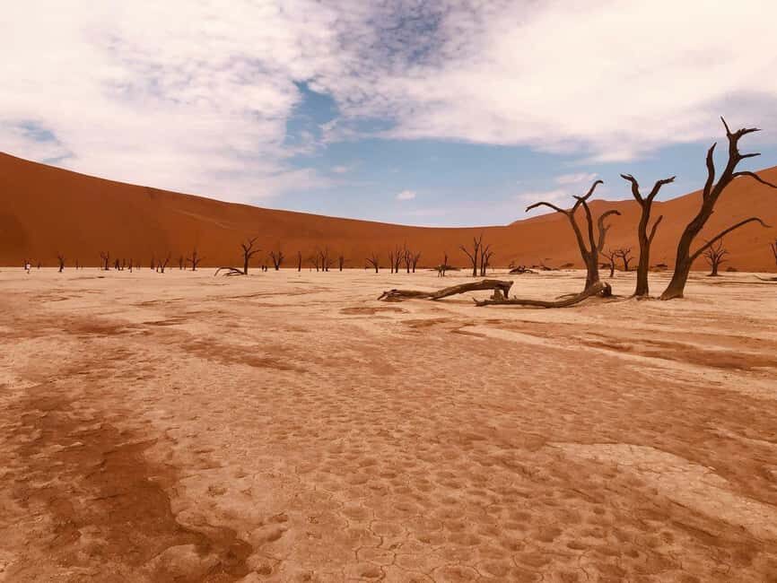 Sossusvlei: Day Trip - Dune 45 — The Classic Photo Op