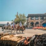 Souq Waqif walk and visit - Who Will Love This Tour?