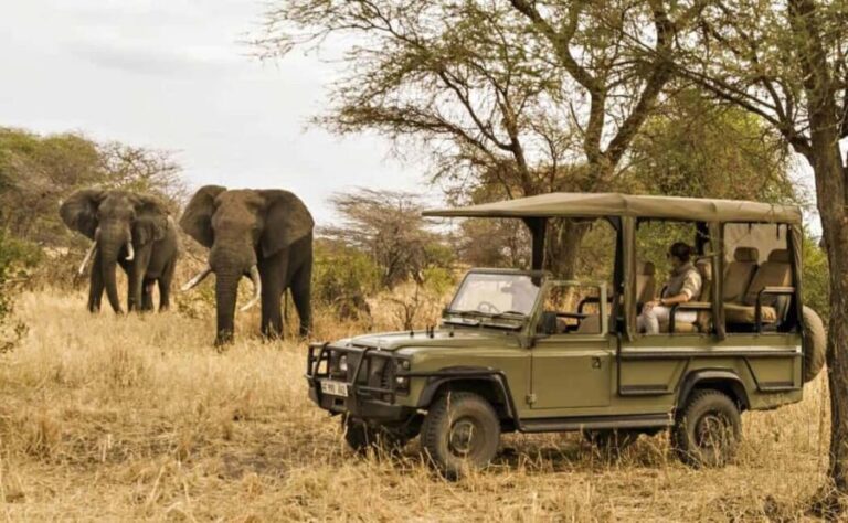 South Africa: 12-Day Cape Town to Johannesburg Tour - Practical Considerations