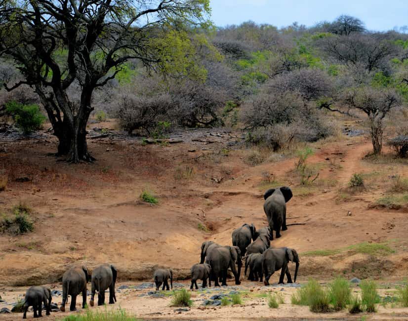 South Africa: Tailored Tours and Adventures with We Do Tours - Transportation and Group Dynamics
