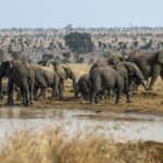 South Africa to Victoria Falls 12 Day Adventure - Who Will Love This Tour?