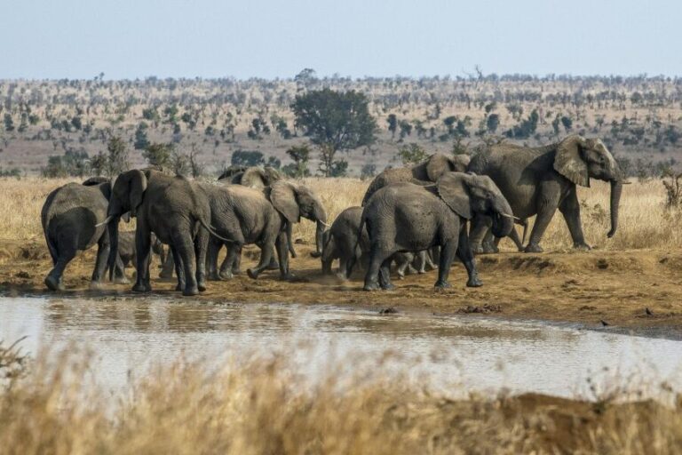 South Africa to Victoria Falls 12 Day Adventure - Who Will Love This Tour?
