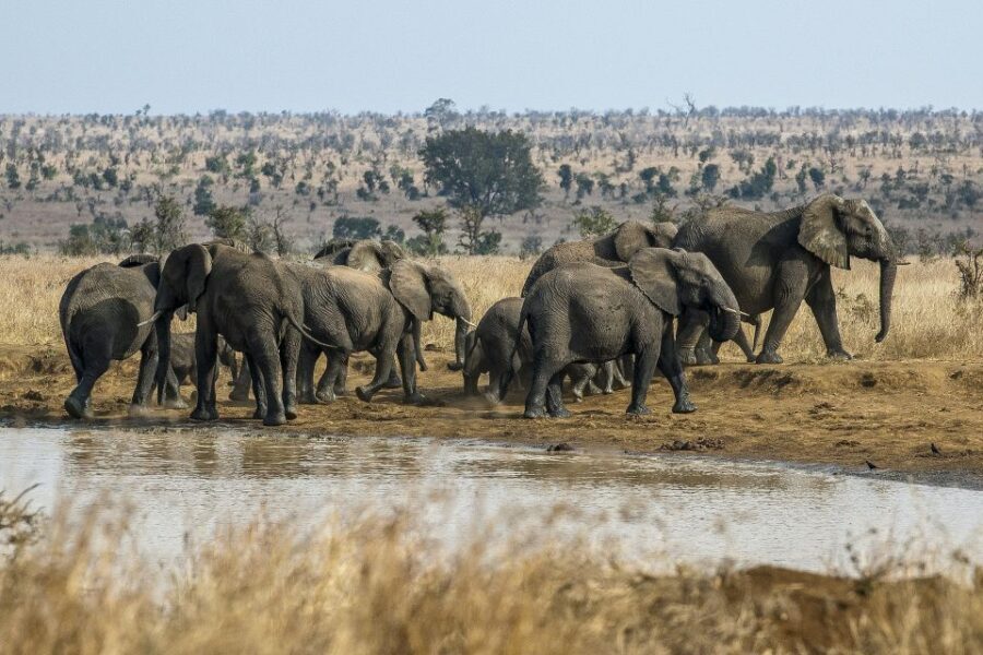 South Africa to Victoria Falls 12 Day Adventure - Who Will Love This Tour?