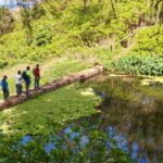 South Mauritius: Easy cliff& jungle hike to hidden waterfall - The Hidden Waterfall