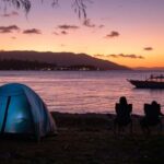 South Molle Island Self Guided Walking Tour - Pricing and Value