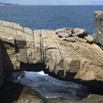 Southern Experience 3 Day Tour - Day 1: Coastal Towns and Ancient Forests