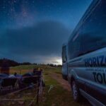 Southern Skies Stargazing Tour in Dunedin - What to Expect During Your Night Out