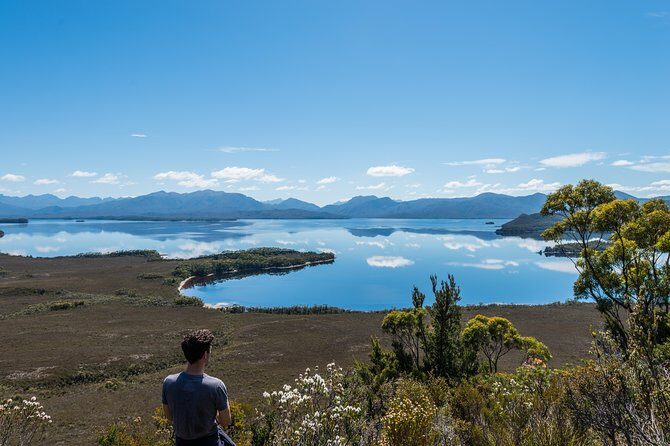 Southwest Tasmania Wilderness Experience: Fly Cruise and Walk Including Lunch - Who Is This Tour Best For?