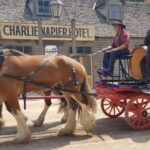 Sovereign Hill & 12 Apostle Private Tour  Up to 14 pax - Who Would Love This Tour?