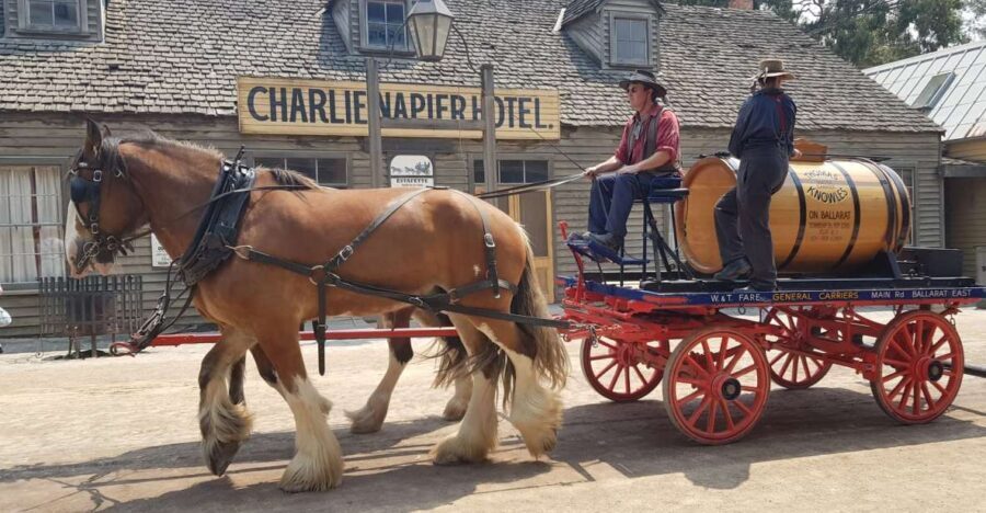 Sovereign Hill & 12 Apostle Private Tour  Up to 14 pax - Who Would Love This Tour?