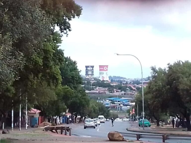 Soweto: 4-Hour Bicycle or Tuk Tuk Tour & Lunch - Whats Included & Whats Not