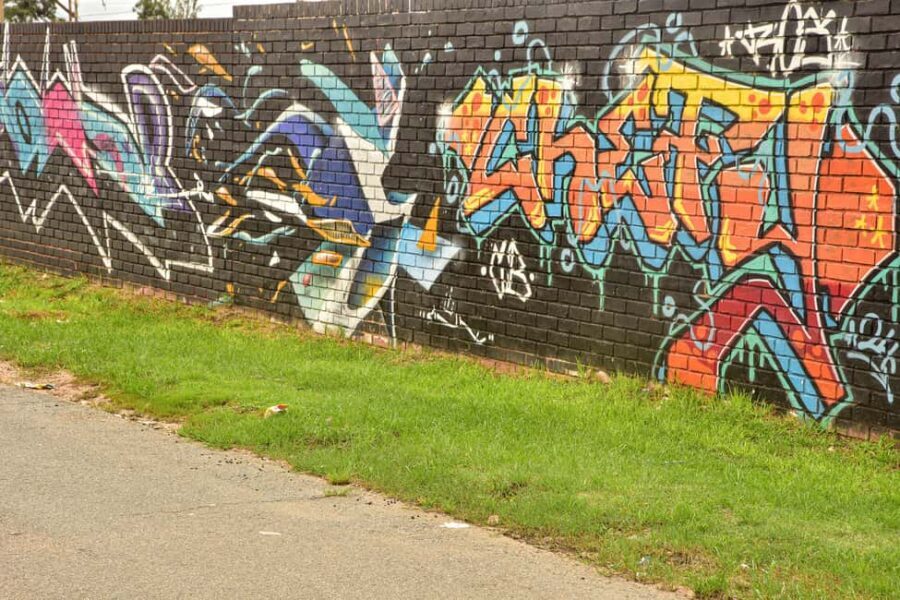 Soweto: Sip & Paint Walking Tour - Why the Value Is Impressive
