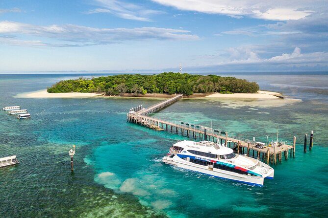 Special Offer: Great Barrier Reef & Green Island Day Tour - Practical Insights from Travelers