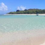 Speedboat excursion: Ile aux Bénitier/Dauphins/ Roche Crystal - Practical Details and Tips for Your Trip