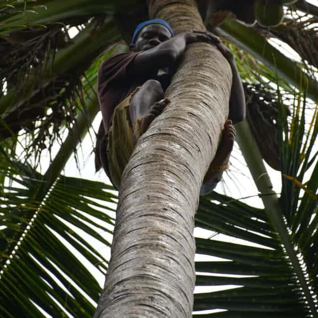 Spice Farm, Stone Town, Prison Island & Nakupenda sand bank - Practical Details