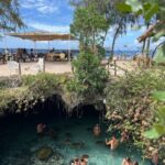 SPICE FARM TOUR, Jozani forest & Sea tortoise sanctuary - Transportation, Timing, and Group Experience