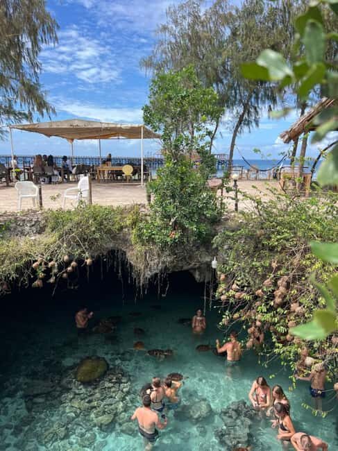 SPICE FARM TOUR, Jozani forest & Sea tortoise sanctuary - Transportation, Timing, and Group Experience