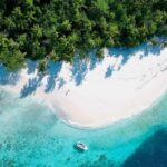 Spice Tour with Lunch, Prison Island Tour, Night Fish Market - Practicalities and Considerations