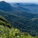 Spring Brook National Park Driving Tour with an APP - An In-Depth Look at the Tour Itinerary and What to Expect