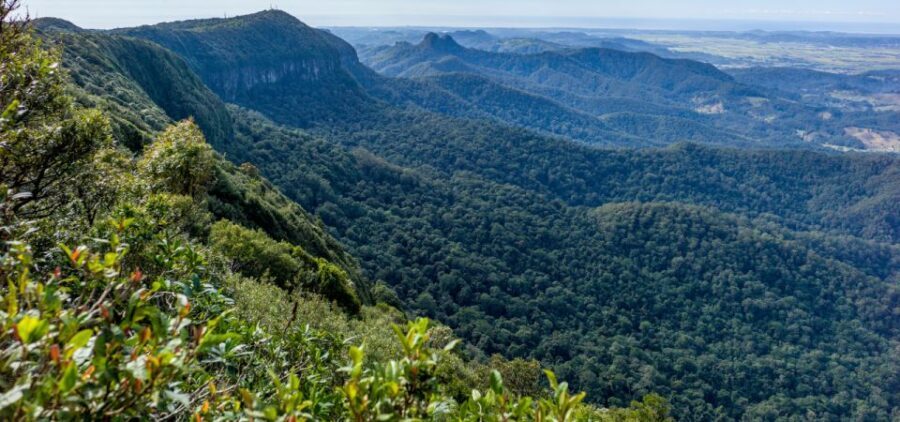 Spring Brook National Park Driving Tour with an APP - An In-Depth Look at the Tour Itinerary and What to Expect