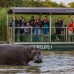 St Lucia: Hippo and Crocodile Cruise on a 15-Seat Vessel - The Practicalities: What You Need to Know