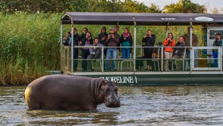 St Lucia: Hippo and Crocodile Cruise on a 15-Seat Vessel - The Practicalities: What You Need to Know