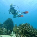 StandUp PaddleBoard Lesson and Experience Scuba Diving Package! - What to Expect During the Tour