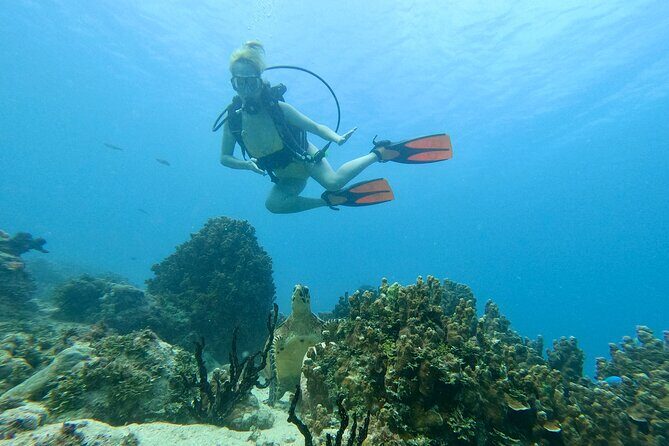 StandUp PaddleBoard Lesson and Experience Scuba Diving Package! - What to Expect During the Tour